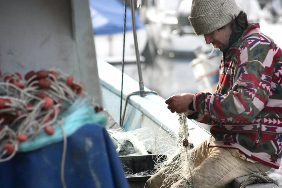 Why Are Bananas Bad Luck on a Fishing Boat - What to Know