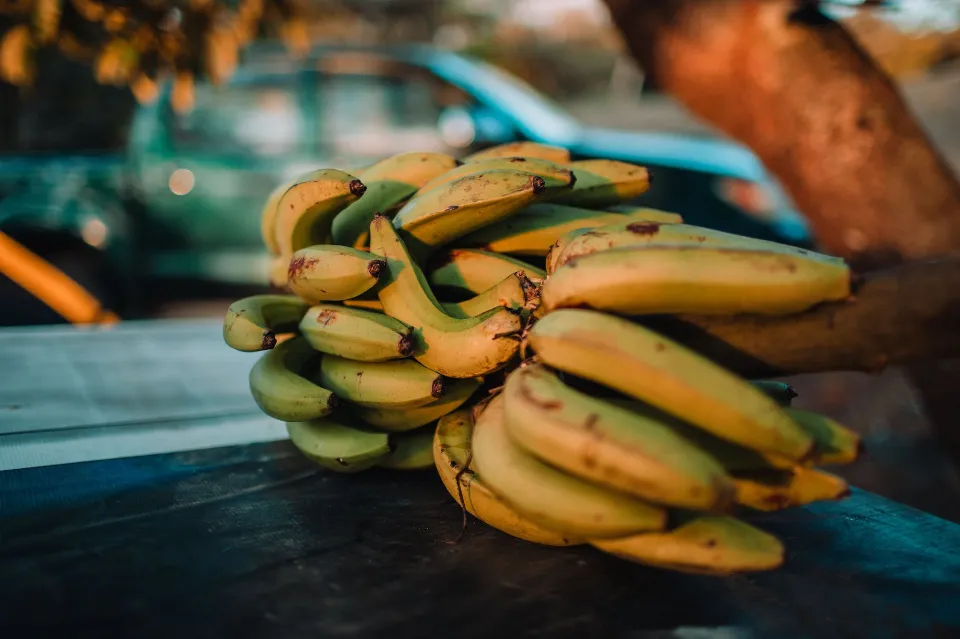 Why Are Bananas Bad Luck on a Fishing Boat - What to Know